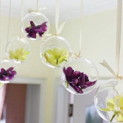 Hot Clear Glass Globes With 1 Hole Flower