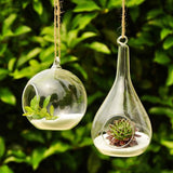 Ball Globe Shape Clear Hanging Glass Vase