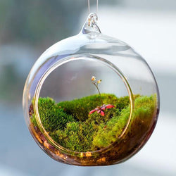 Ball Globe Shape Clear Hanging Glass Vase