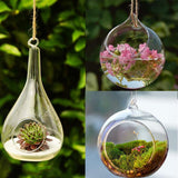 Ball Globe Shape Clear Hanging Glass Vase