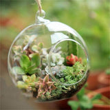 Ball Globe Shape Clear Hanging Glass Vase